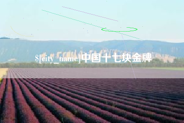 莒县中国十七块金牌