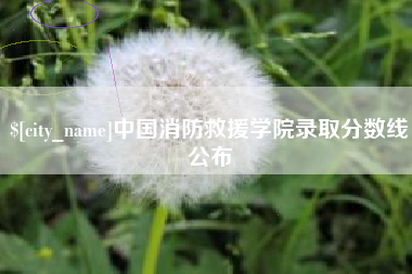 莒县中国消防救援学院录取分数线公布