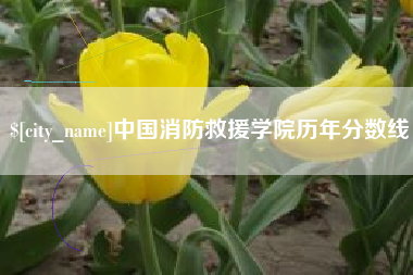 莒县中国消防救援学院历年分数线