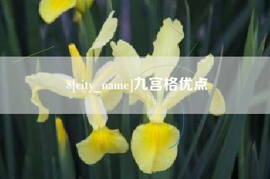 莒县九宫格优点