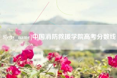 莒县中国消防救援学院高考分数线