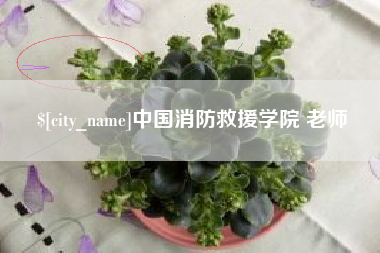 莒县中国消防救援学院 老师