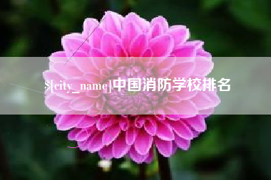 莒县中国消防学校排名
