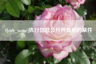 莒县执行信息公开网查到的案件