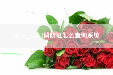 莒县消防证怎么查询系统