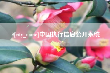 莒县中国执行信息公开系统