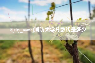 莒县消防大学分数线是多少