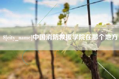 莒县中国消防救援学院在那个地方