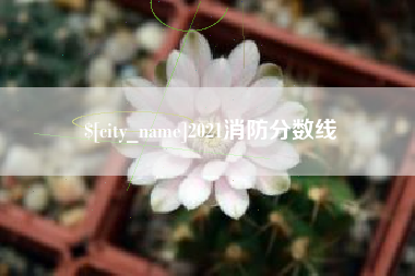 莒县2021消防分数线