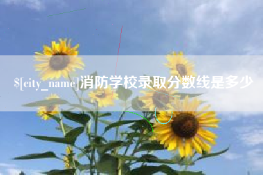 莒县消防学校录取分数线是多少