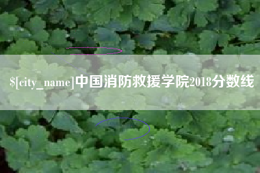 莒县中国消防救援学院2018分数线