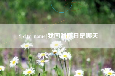 莒县我国消防日是哪天
