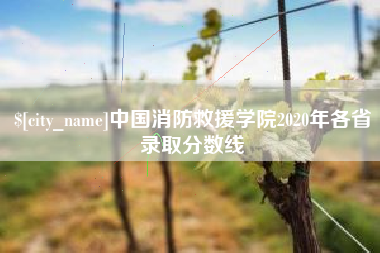 莒县中国消防救援学院2020年各省录取分数线