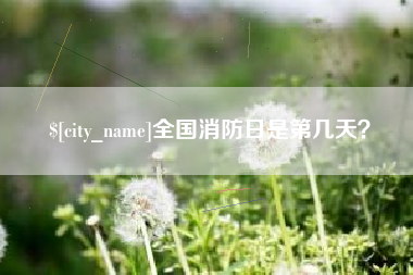 莒县全国消防日是第几天？