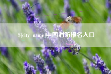 莒县中国消防报名入口