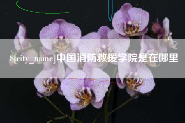 莒县中国消防救援学院是在哪里