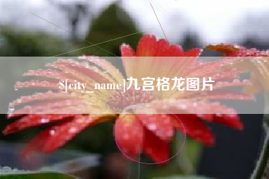 莒县九宫格龙图片