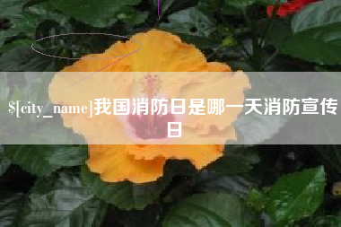 莒县我国消防日是哪一天消防宣传日