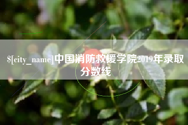 莒县中国消防救援学院2019年录取分数线