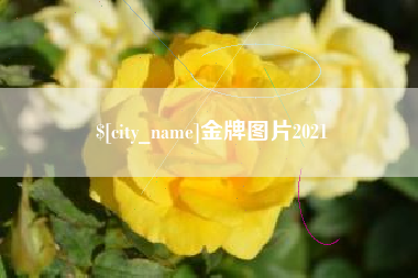莒县金牌图片2021