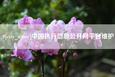 莒县中国执行信息公开网平台维护