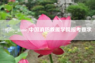 莒县中国消防救援学院报考要求
