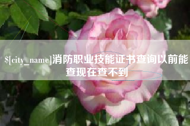 莒县消防职业技能证书查询以前能查现在查不到