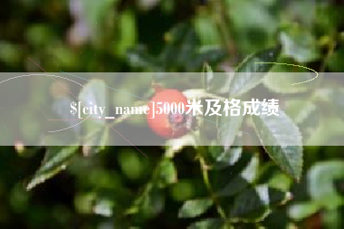 莒县5000米及格成绩