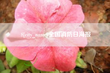 莒县全国消防日海报