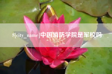 莒县中国消防学院是军校吗