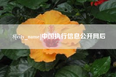 莒县中国执行信息公开网后