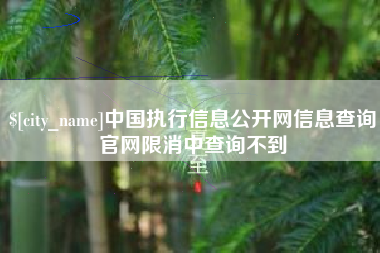 莒县中国执行信息公开网信息查询官网限消中查询不到