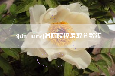 莒县消防院校录取分数线