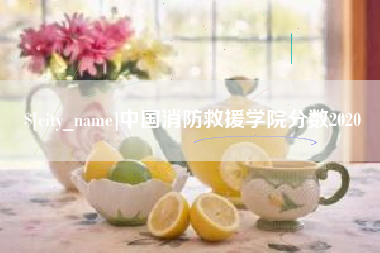 莒县中国消防救援学院分数2020