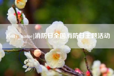 莒县消防日全国消防日主题活动