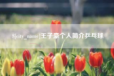 莒县王子豪个人简介乒乓球