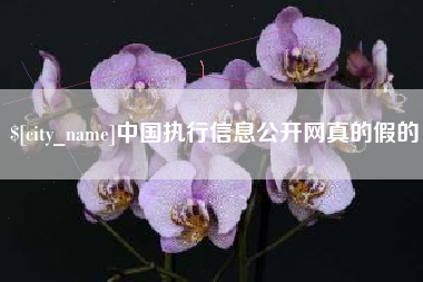 莒县中国执行信息公开网真的假的