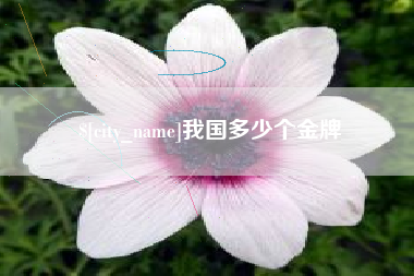 莒县我国多少个金牌