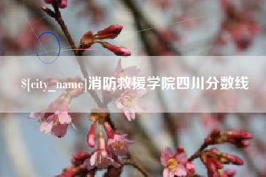 莒县消防救援学院四川分数线