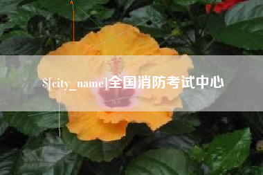 莒县全国消防考试中心