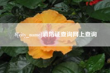 莒县消防证查询网上查询