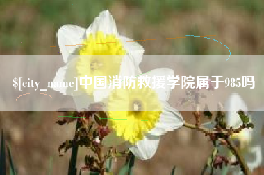 莒县中国消防救援学院属于985吗