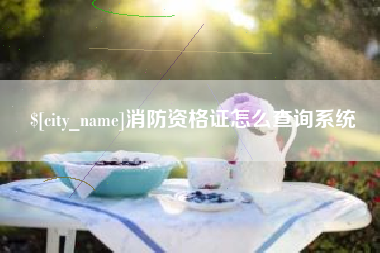莒县消防资格证怎么查询系统