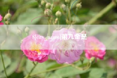 莒县第九金是