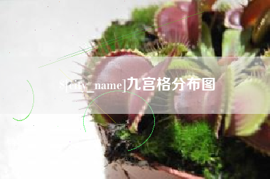 莒县九宫格分布图