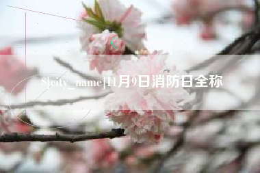 莒县11月9日消防日全称