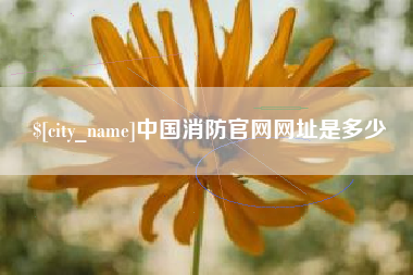 莒县中国消防官网网址是多少