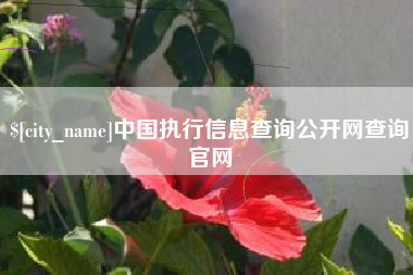 莒县中国执行信息查询公开网查询官网