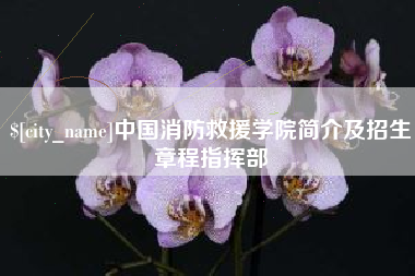 莒县中国消防救援学院简介及招生章程指挥部