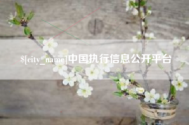莒县中国执行信息公开平台